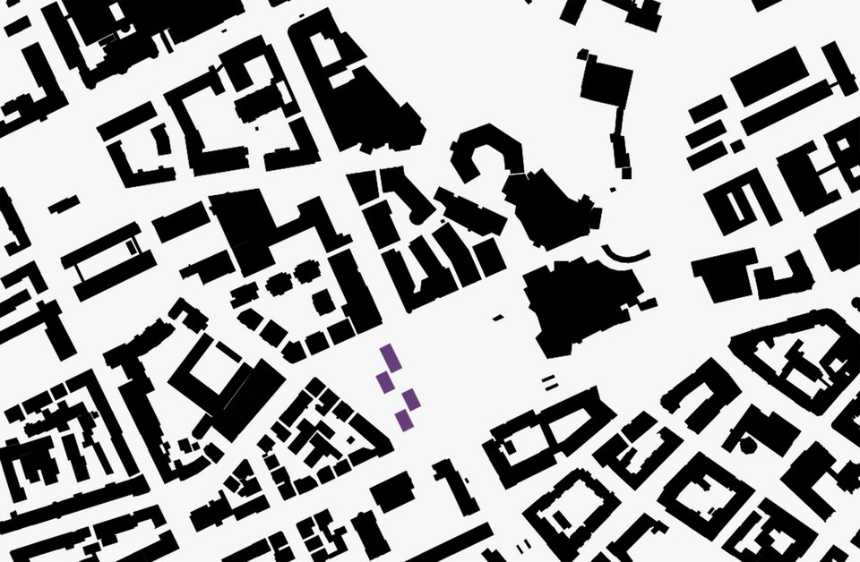 Schwarzplan der Bachelor Arbeit Wild Urban Nature