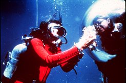 Sylvia Earle [Bild: OAR/National Undersea Research Program (NURP), Public domain, via Wikimedia Commons]